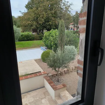Touny Bonnefil - Pool And Enclosed Garden * Lagrave